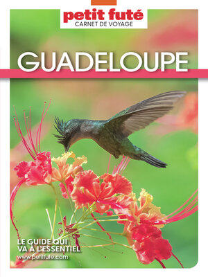 cover image of GUADELOUPE 2025 Carnet Petit Futé